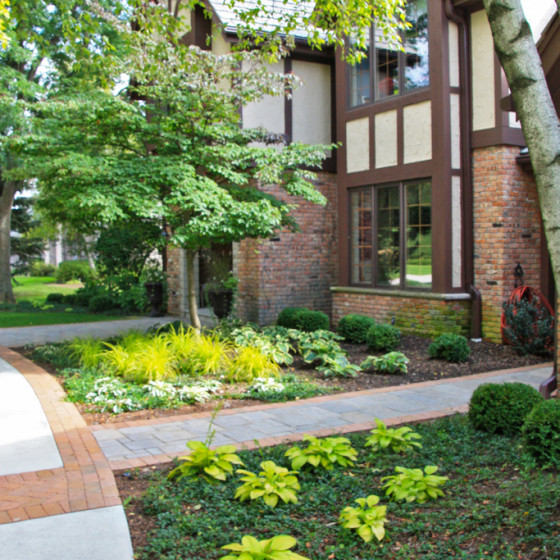 Hawks Landscape project