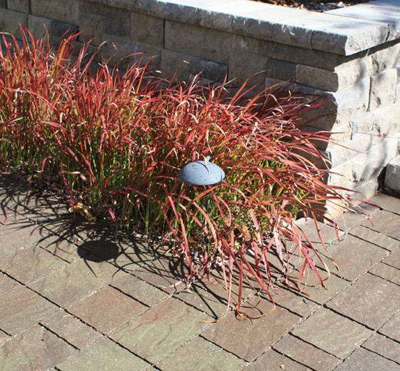 Hawks Landscape project