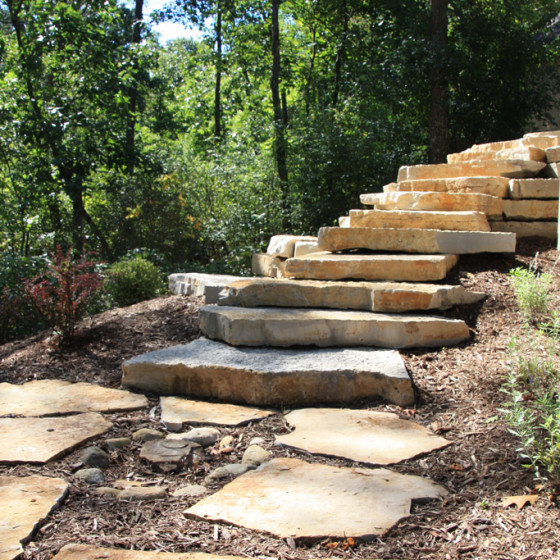 Hawks Landscape project