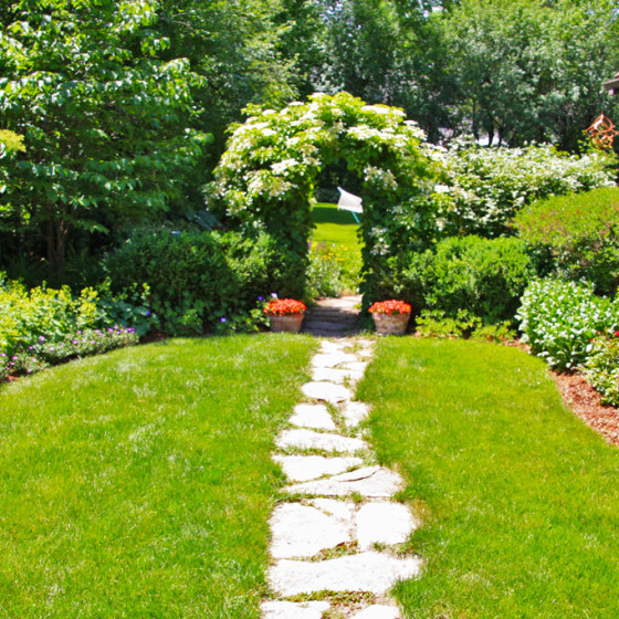 Hawks Landscape project