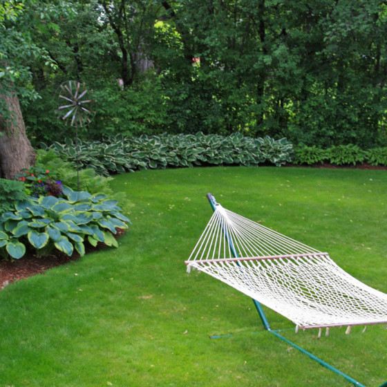 Hawks Landscape project