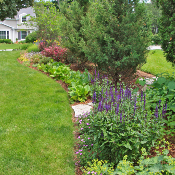 Hawks Landscape project