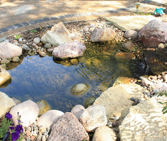 Hawks Landscape project