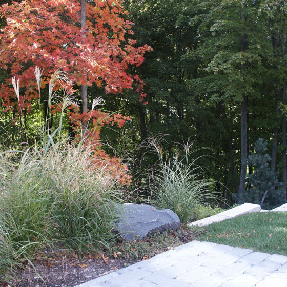 Hawks Landscape project