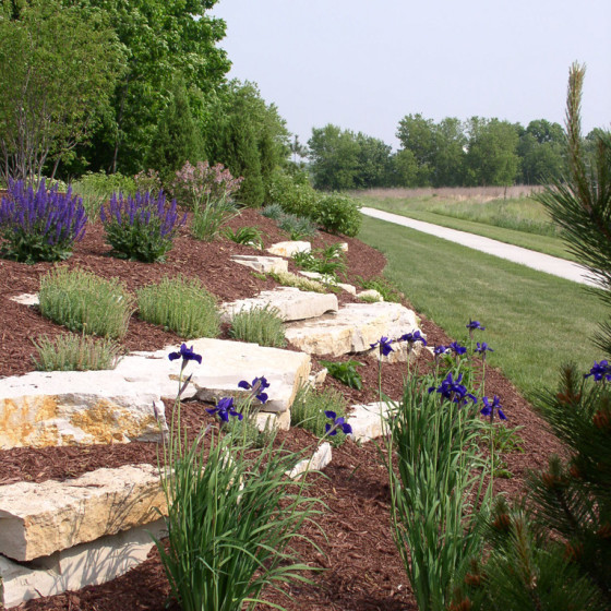 Hawks Landscape project