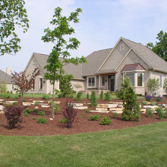 Hawks Landscape project