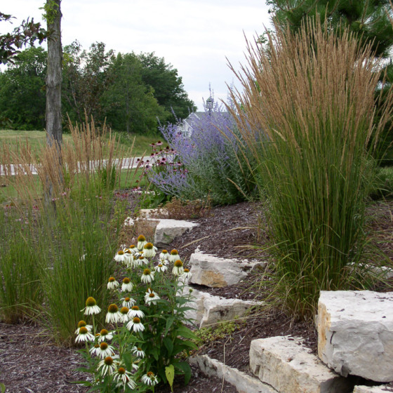 Hawks Landscape project