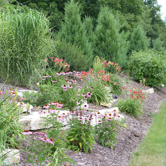 Hawks Landscape project