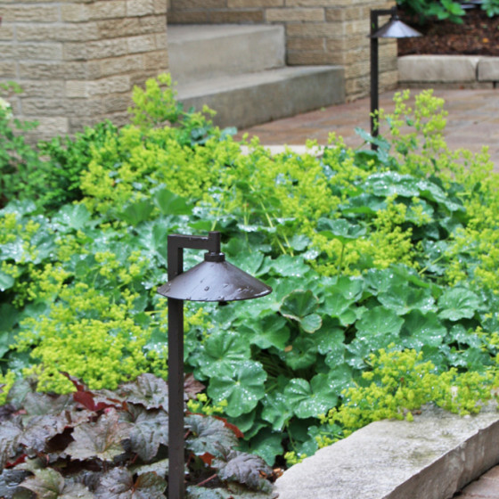 Hawks Landscape project