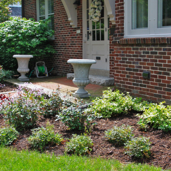 Hawks Landscape project