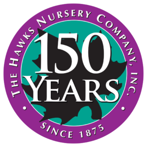 Hawks 150th Anniversary Logo